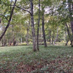 茅野市北山土地